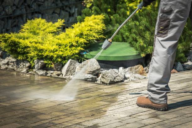Best Playground Equipment Cleaning  in Beecher, IL