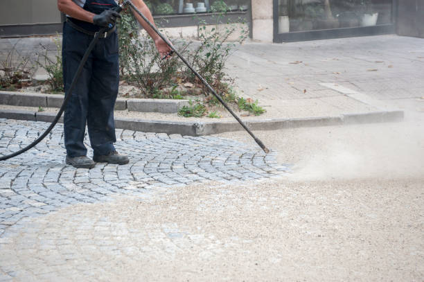 Best Concrete Sealing  in Beecher, IL