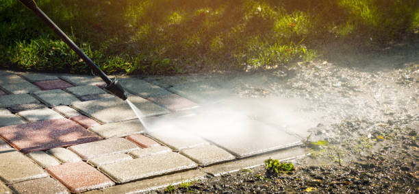Best Building Exterior Washing  in Beecher, IL