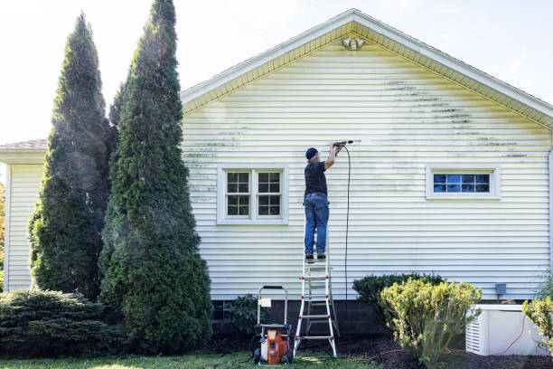Best House Exterior Washing  in Beecher, IL